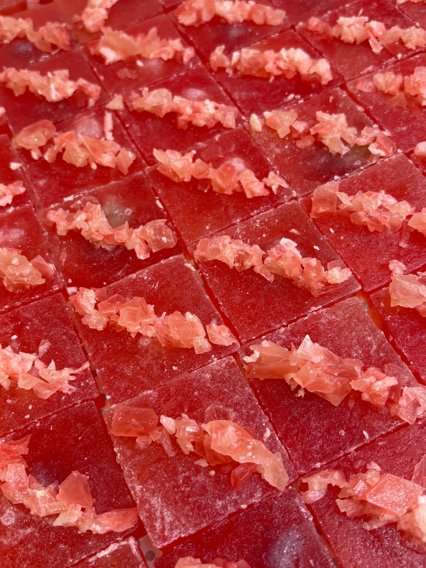 Shoreline Sunset- Watermelon Blood Orange
